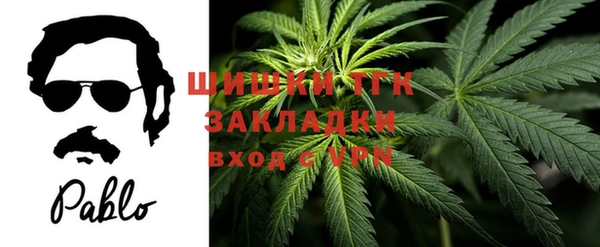 молекула духа Михайлов