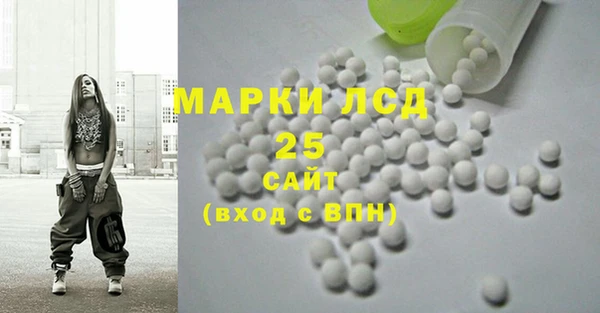 молекула духа Михайлов