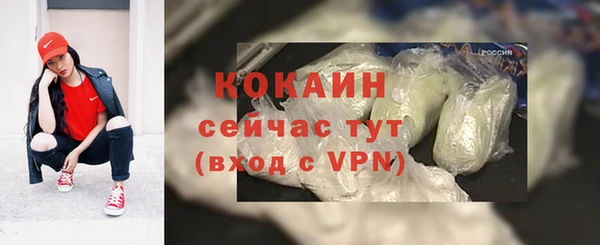 молекула духа Михайлов