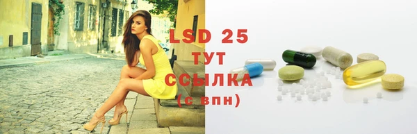 молекула духа Михайлов