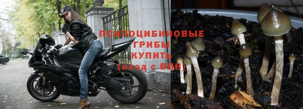 mdpv Михайловка