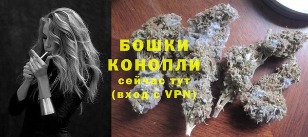 молекула духа Михайлов