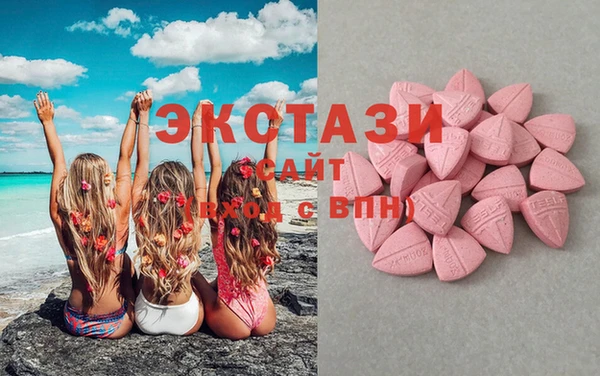 крисы Надым