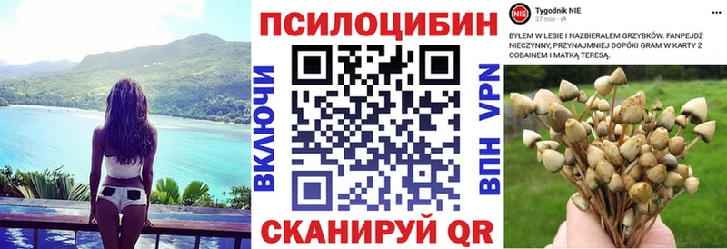 KRAKEN рабочий сайт  Хотьково  Псилоцибиновые грибы Cubensis 