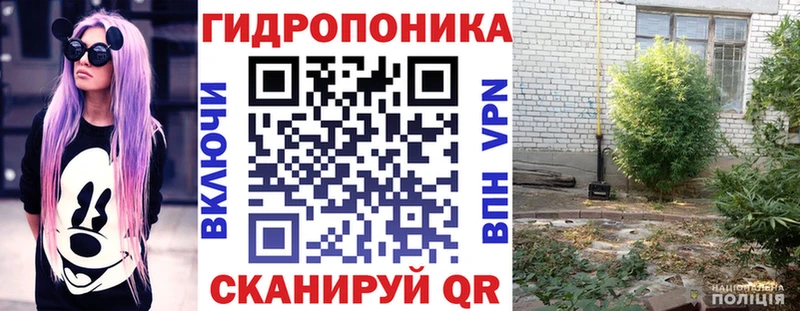 МАРИХУАНА ГИДРОПОН Хотьково